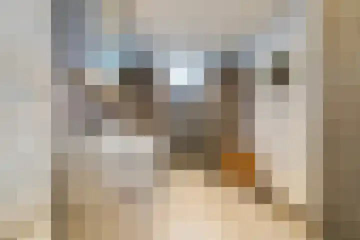 Hauwkes 8 Haarsteeg thumbnail 29