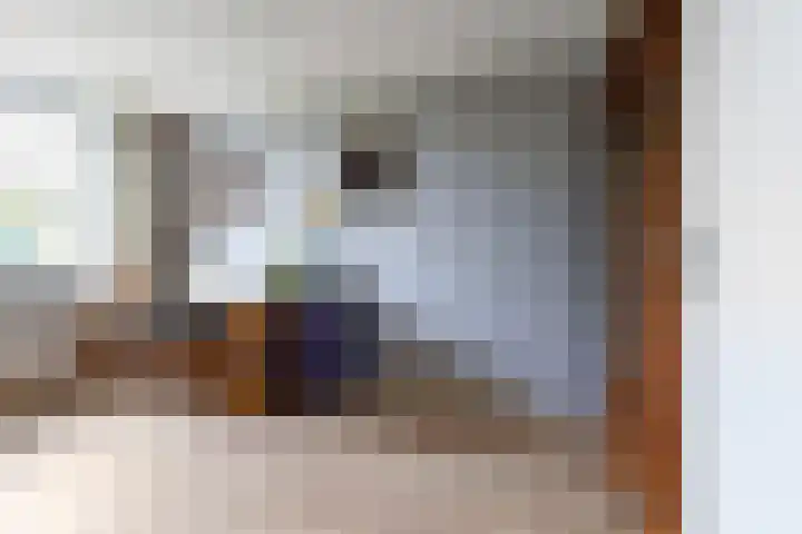 Hauwkes 8 Haarsteeg thumbnail 33