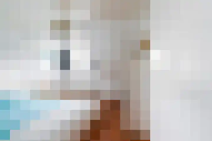 Hauwkes 8 Haarsteeg thumbnail 39