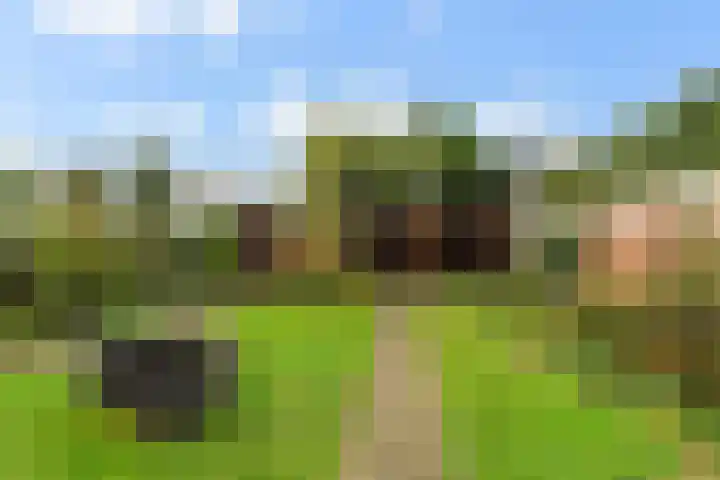 Hauwkes 8 Haarsteeg thumbnail 4