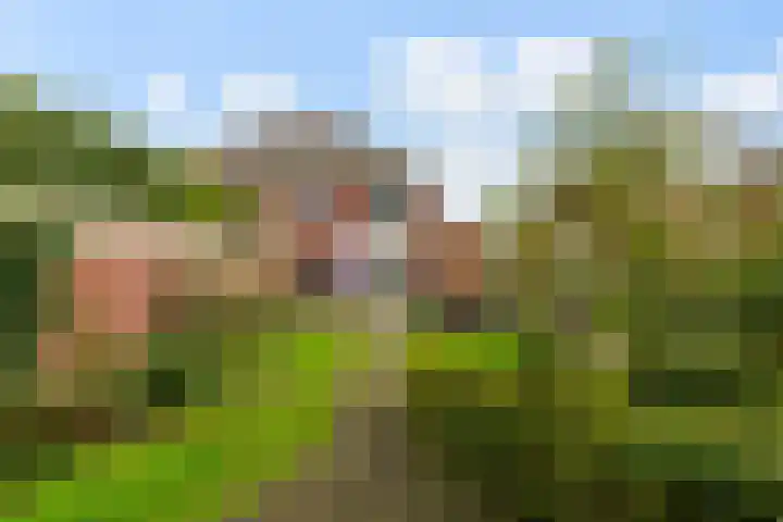Hauwkes 8 Haarsteeg thumbnail 42