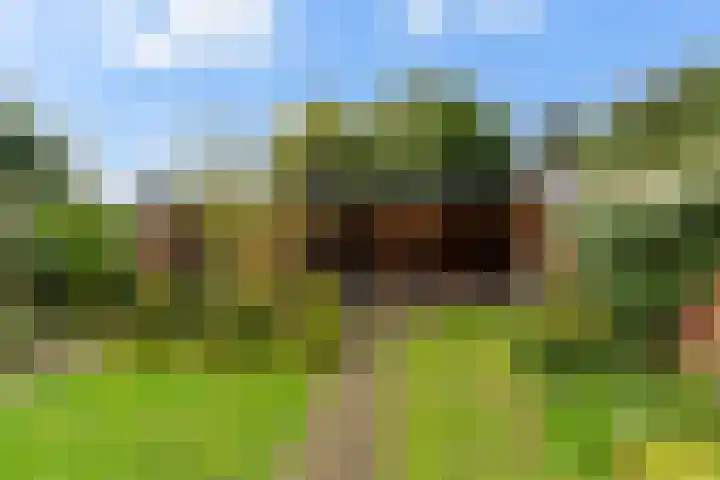 Hauwkes 8 Haarsteeg thumbnail 43