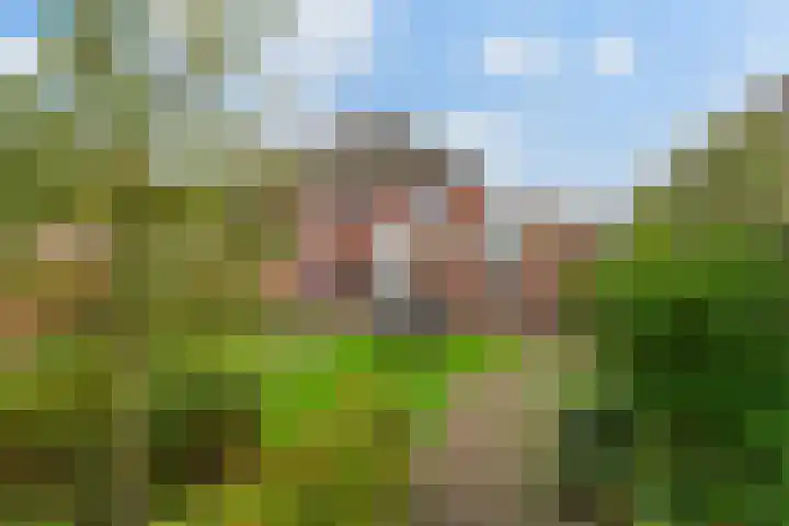 Hauwkes 8 Haarsteeg thumbnail 46
