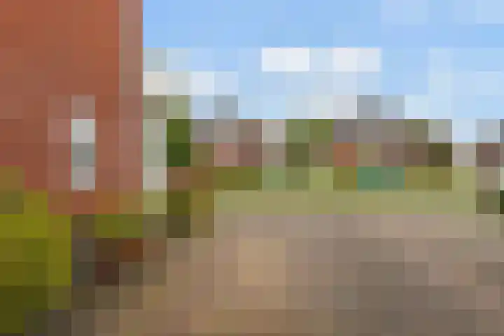 Hauwkes 8 Haarsteeg thumbnail 48