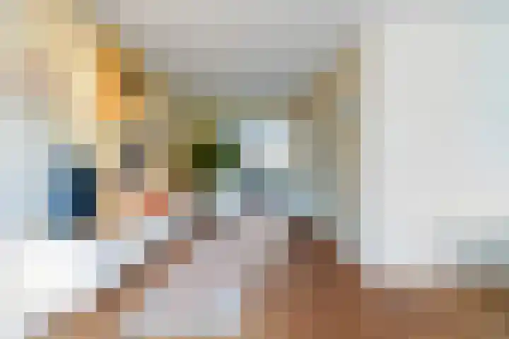 Hauwkes 8 Haarsteeg thumbnail 7