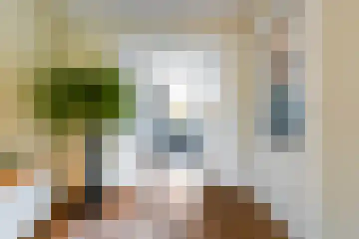 Hauwkes 8 Haarsteeg thumbnail 8