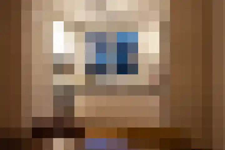 Havanadreef 13 Utrecht thumbnail 12