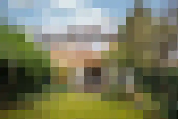 Havanadreef 13 Utrecht thumbnail 16