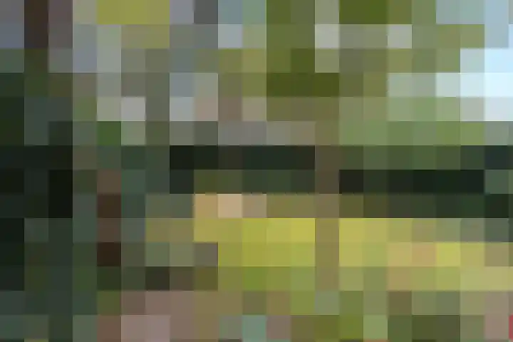 Havanadreef 13 Utrecht thumbnail 17