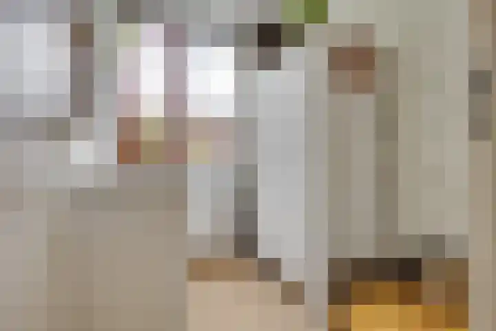 Havanadreef 13 Utrecht thumbnail 19