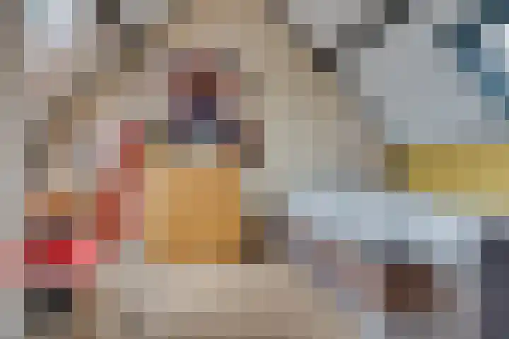 Havanadreef 13 Utrecht thumbnail 26