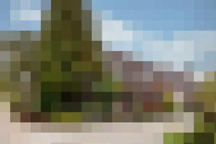 Havanadreef 13 Utrecht thumbnail 30