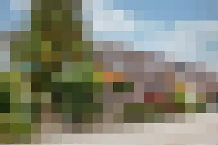 Havanadreef 13 Utrecht thumbnail 31