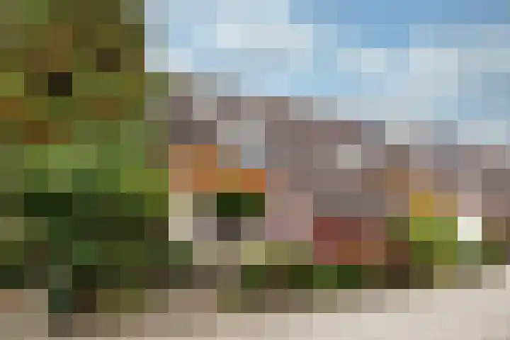 Havanadreef 13 Utrecht thumbnail 4