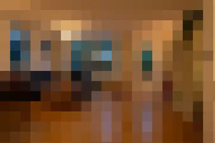 Havanadreef 13 Utrecht thumbnail 8