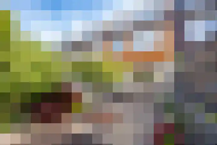 Havanadreef 5 Utrecht thumbnail 16