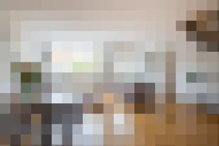 Havanadreef 5 Utrecht thumbnail 19