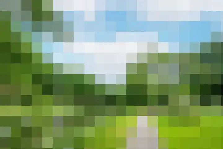 Havanadreef 5 Utrecht thumbnail 36