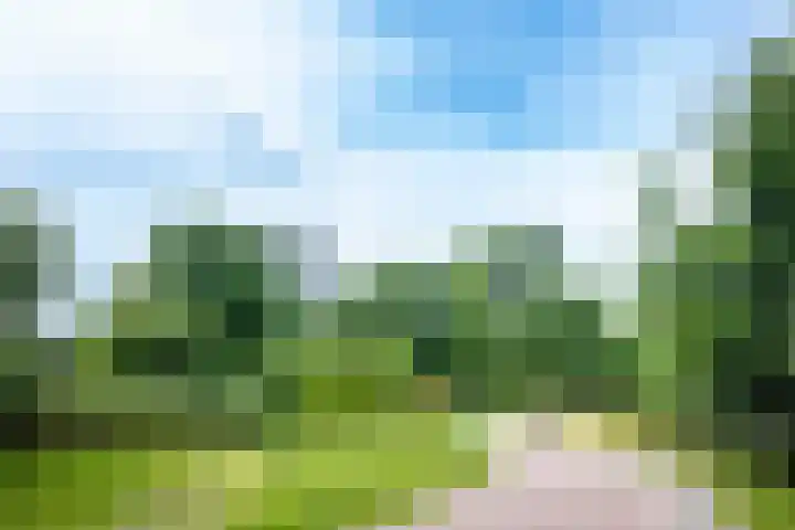 Havanadreef 5 Utrecht thumbnail 37