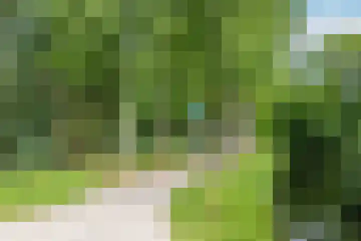Havanadreef 5 Utrecht thumbnail 38