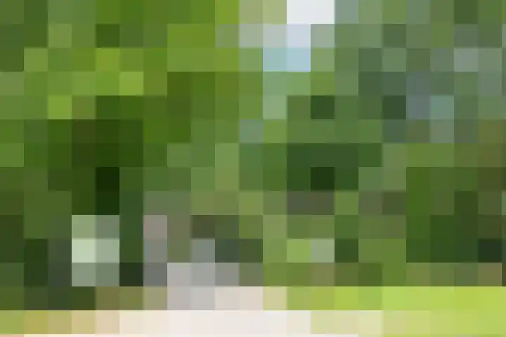 Havanadreef 5 Utrecht thumbnail 39