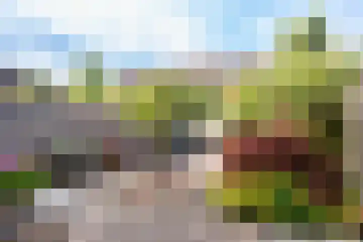 Havanadreef 5 Utrecht thumbnail 4