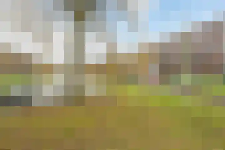 Havannasingel 14 Den Haag thumbnail 18