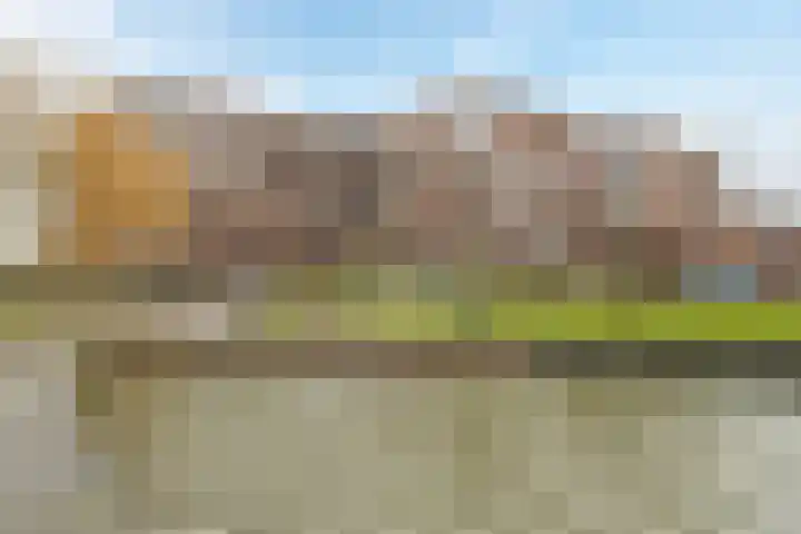 Havannasingel 14 Den Haag thumbnail 22
