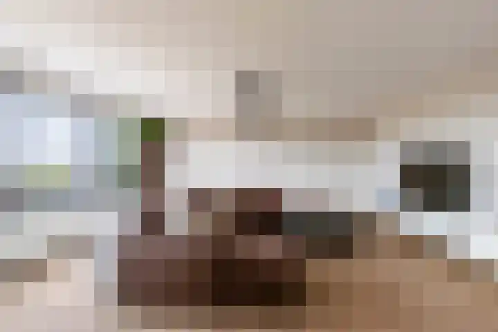 Havannasingel 26 Den Haag thumbnail 12