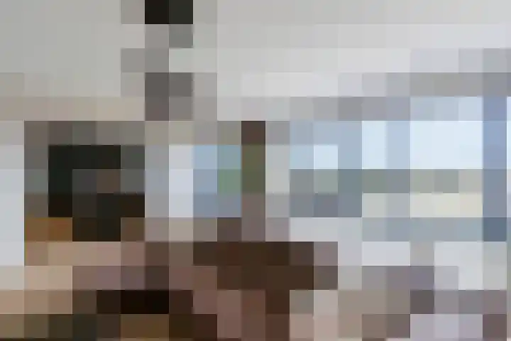 Havannasingel 26 Den Haag thumbnail 15
