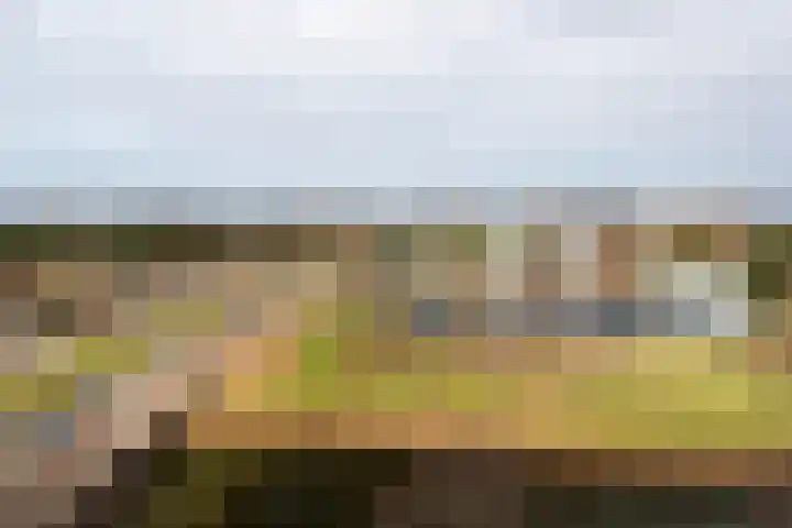 Havannasingel 26 Den Haag thumbnail 20
