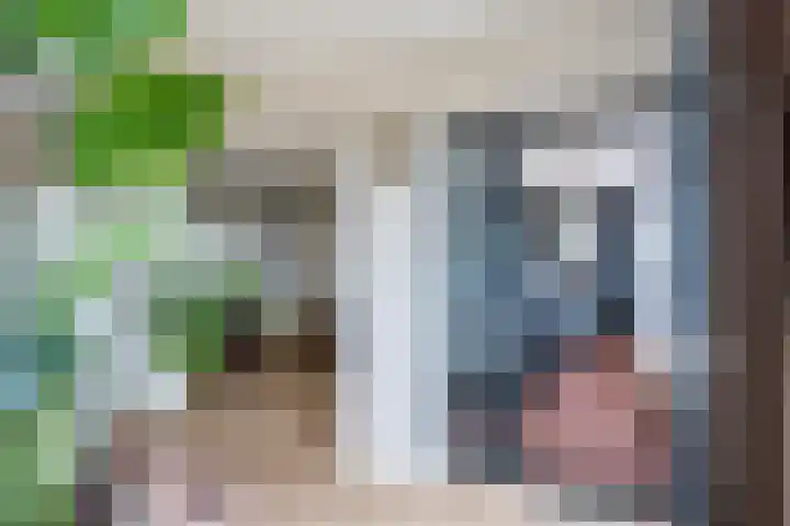 Havannasingel 26 Den Haag thumbnail 5