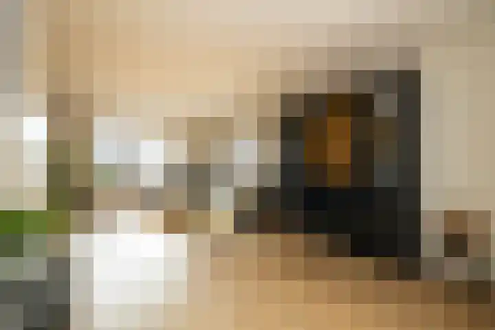 Havannasingel 45 Den Haag thumbnail 18