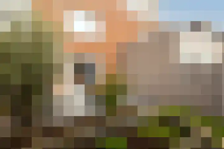 Havannasingel 45 Den Haag thumbnail 44