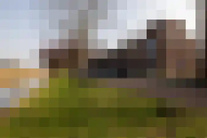 Havannasingel 45 Den Haag thumbnail 46