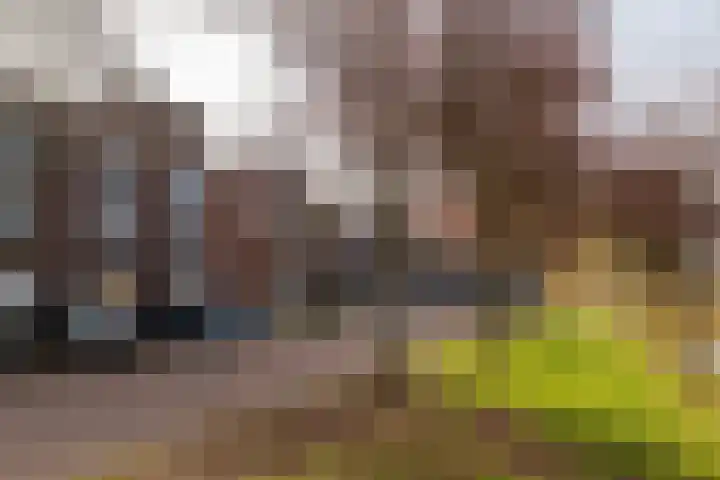 Havannasingel 45 Den Haag thumbnail 47