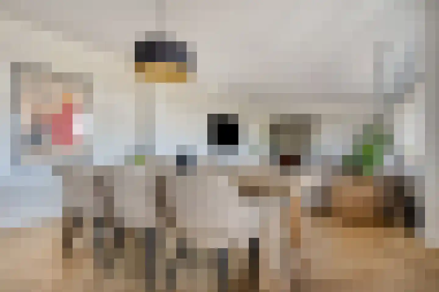 Havannasingel 6 Den Haag thumbnail 23