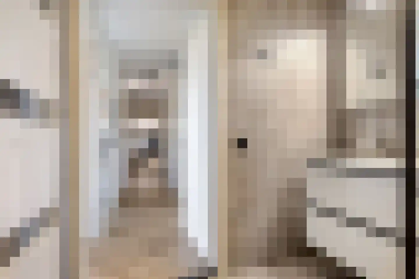 Havannasingel 6 Den Haag thumbnail 37
