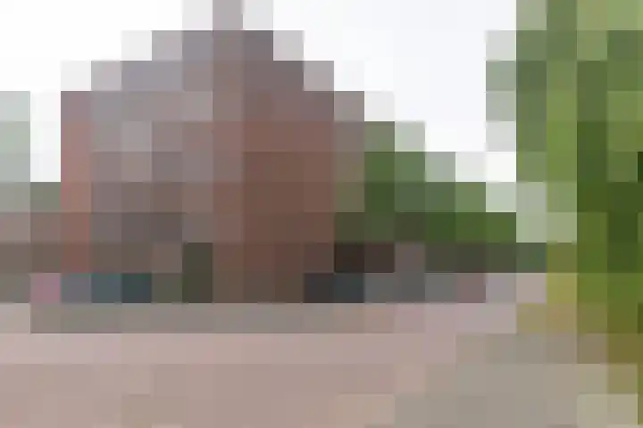 Havannasingel 61 Den Haag thumbnail 33