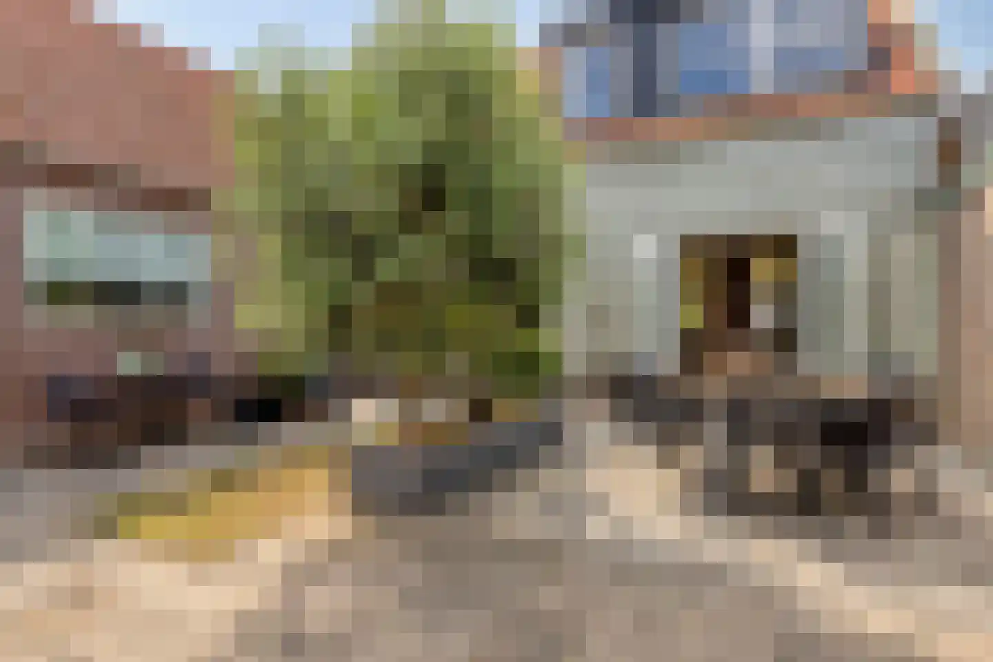 Havelaarstraat 19 Colijnsplaat thumbnail 31