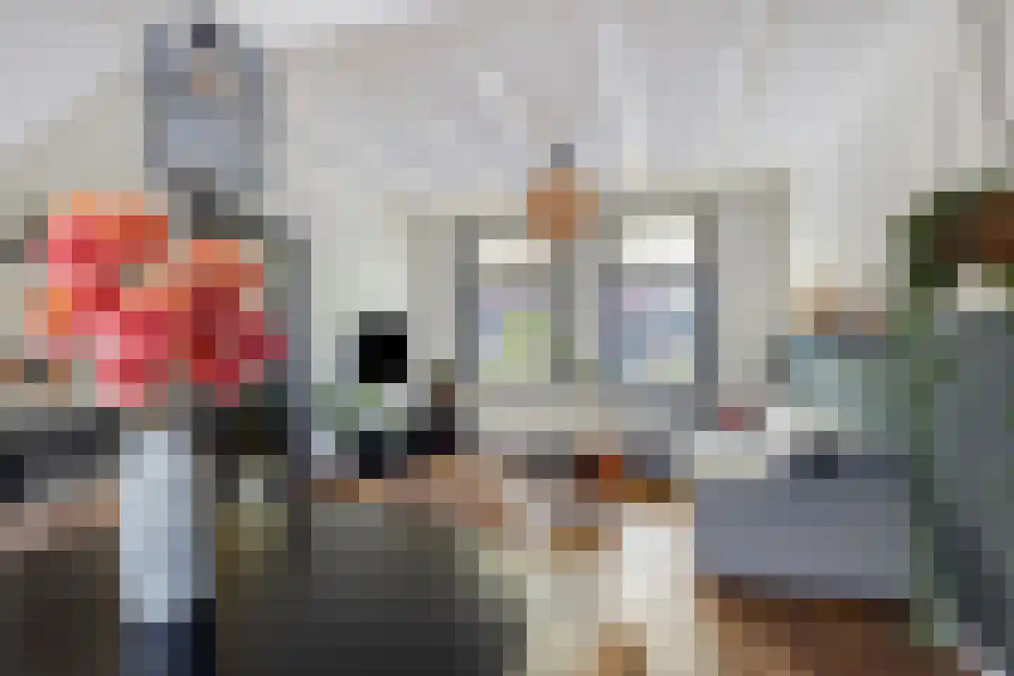 Havelaarstraat 19 Colijnsplaat thumbnail 8