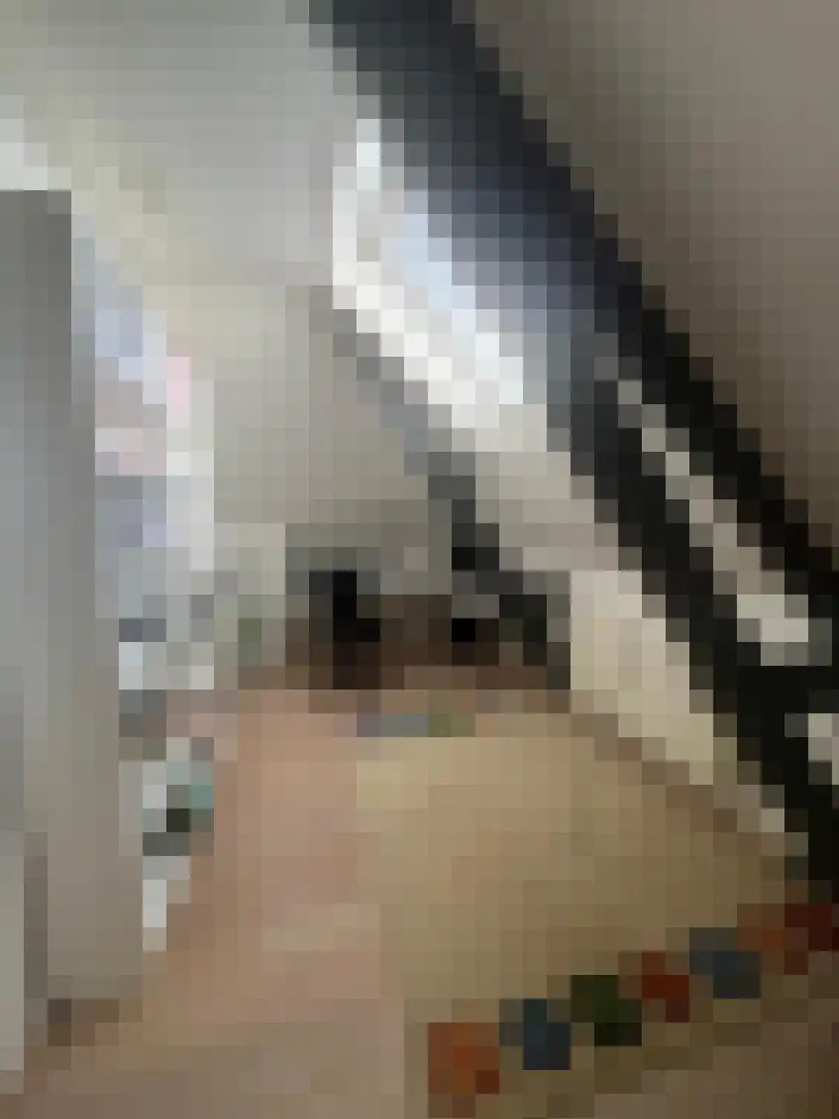 Havelaarstraat 3 Velp thumbnail 4