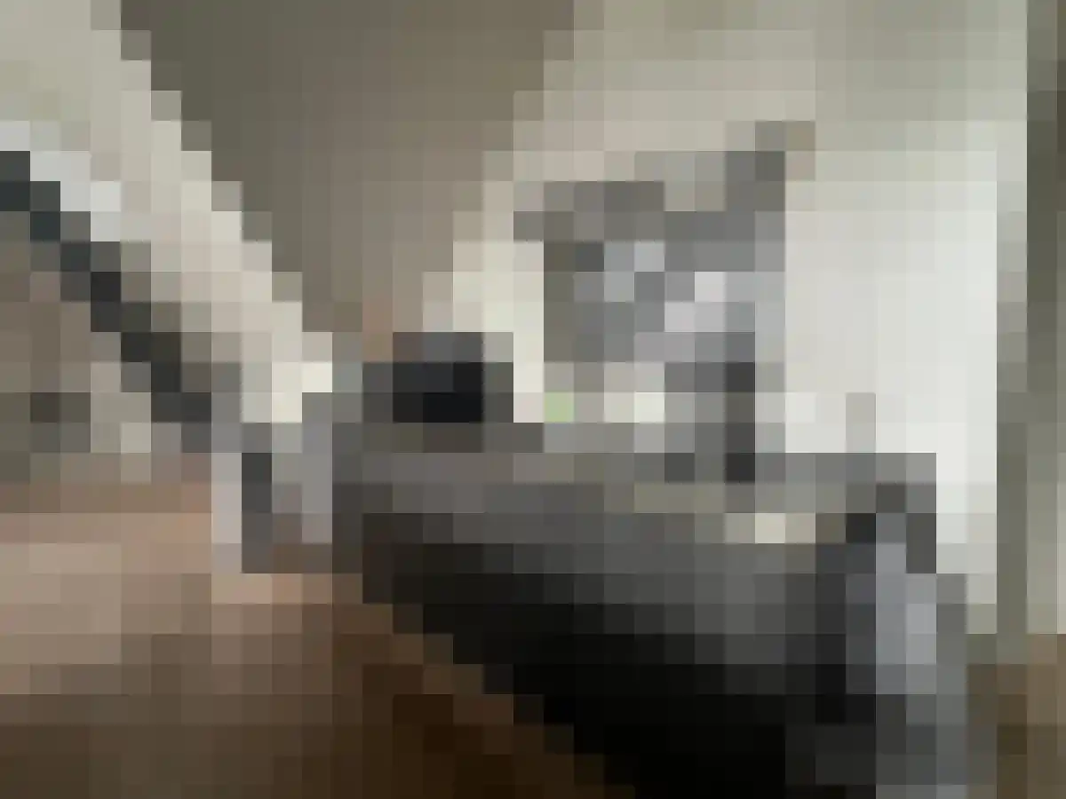Havelaarstraat 3 Velp thumbnail 5