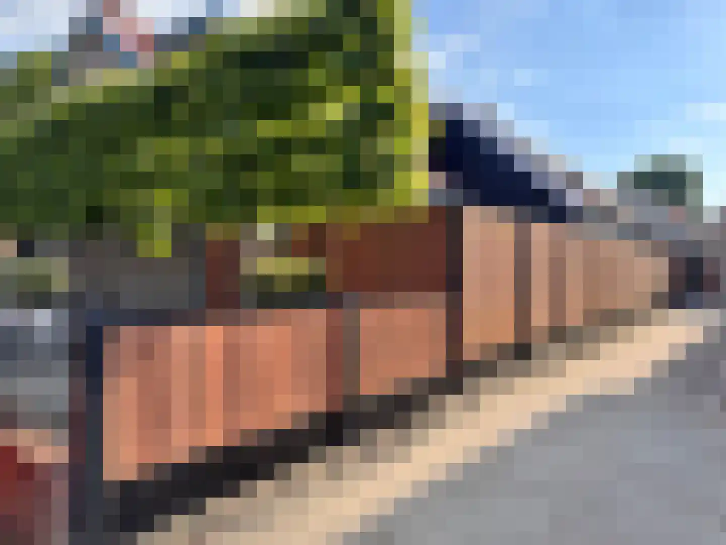 Havelaarstraat 54 Colijnsplaat thumbnail 39