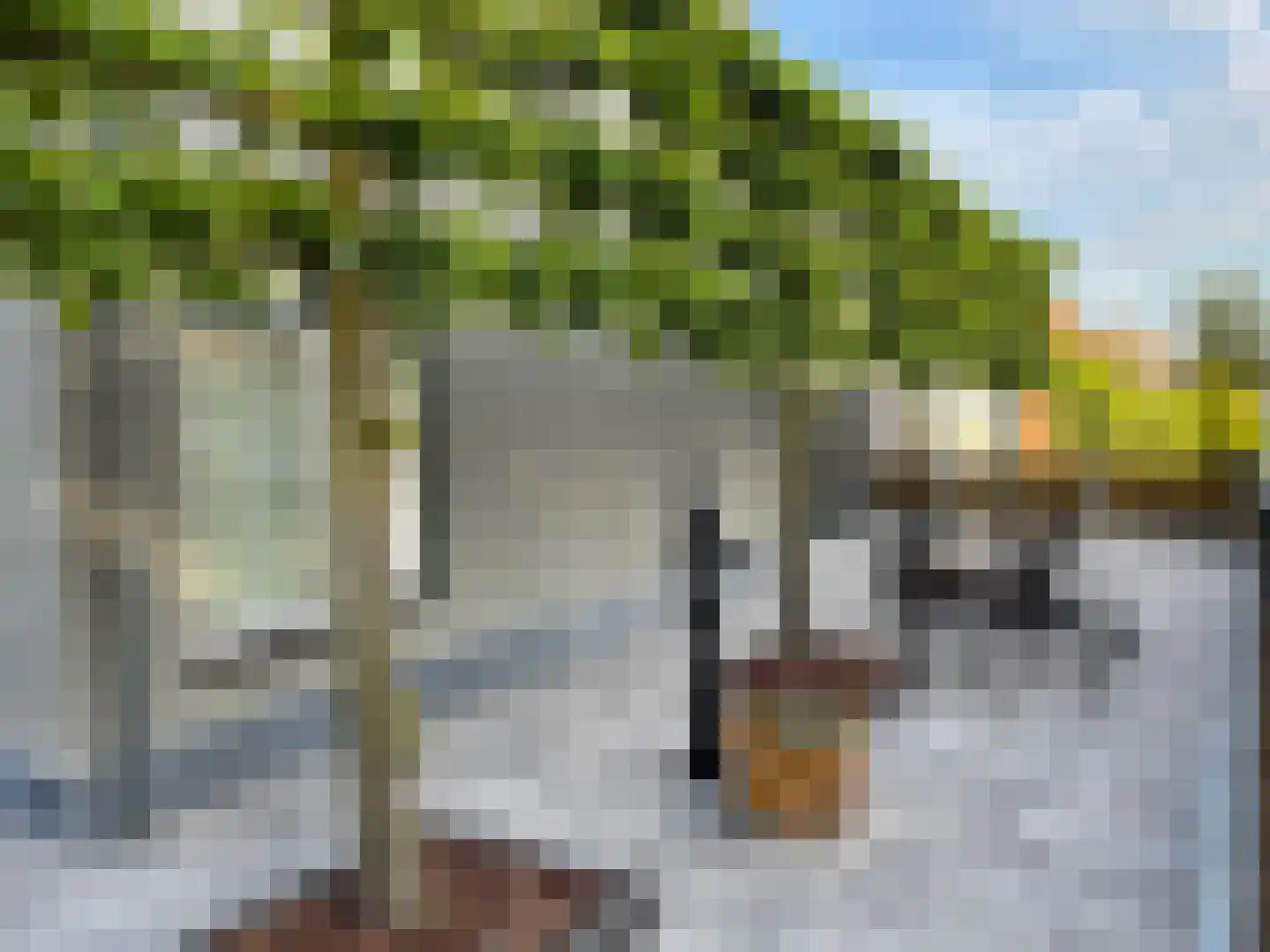 Havelaarstraat 54 Colijnsplaat thumbnail 41