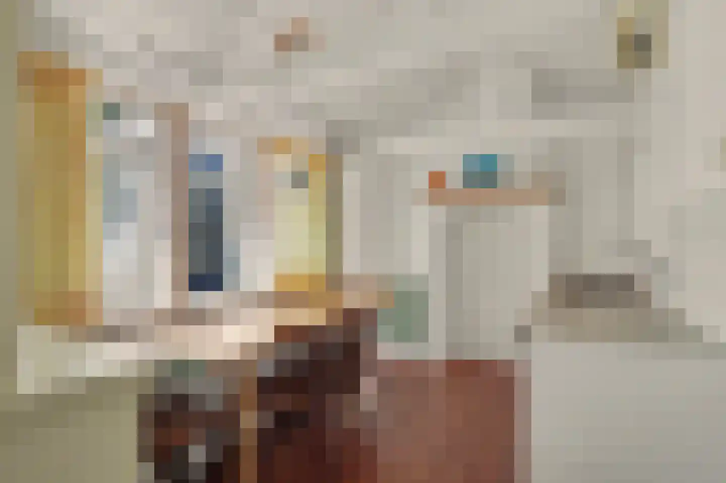 Havelaarstraat 64 Colijnsplaat thumbnail 11