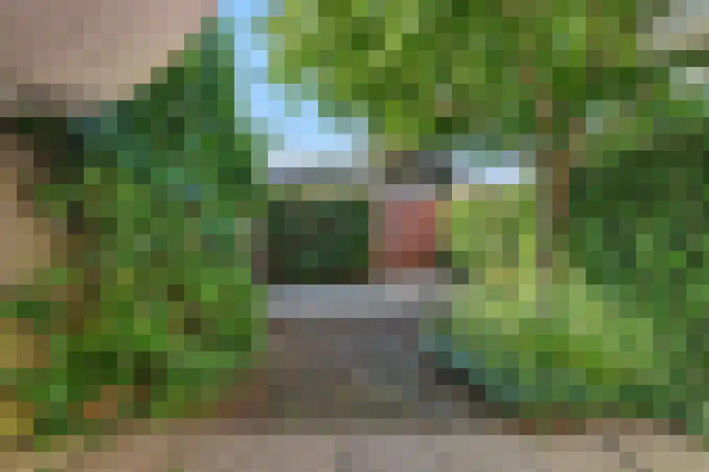 Havelaarstraat 64 Colijnsplaat thumbnail 21