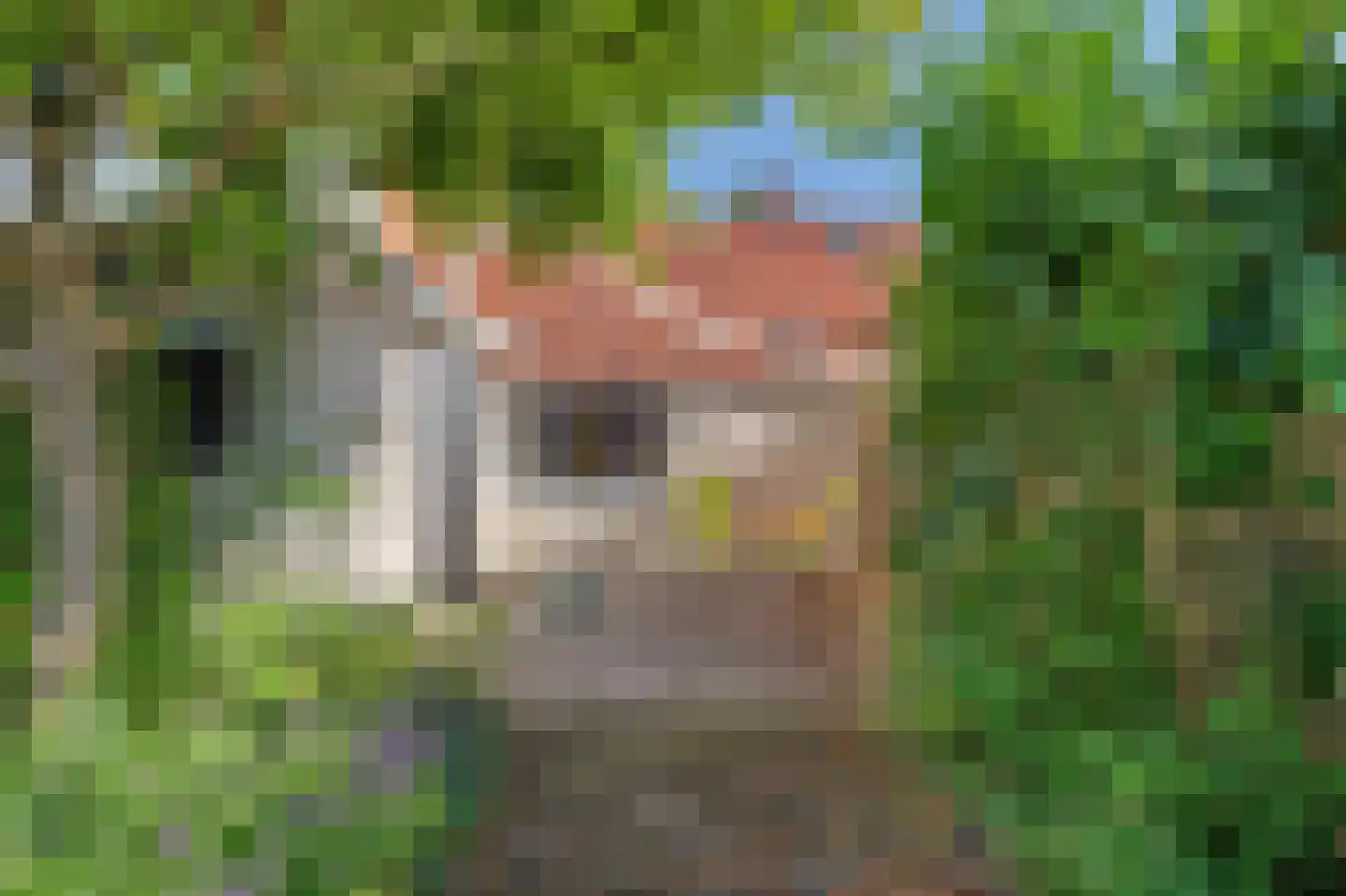 Havelaarstraat 64 Colijnsplaat thumbnail 22