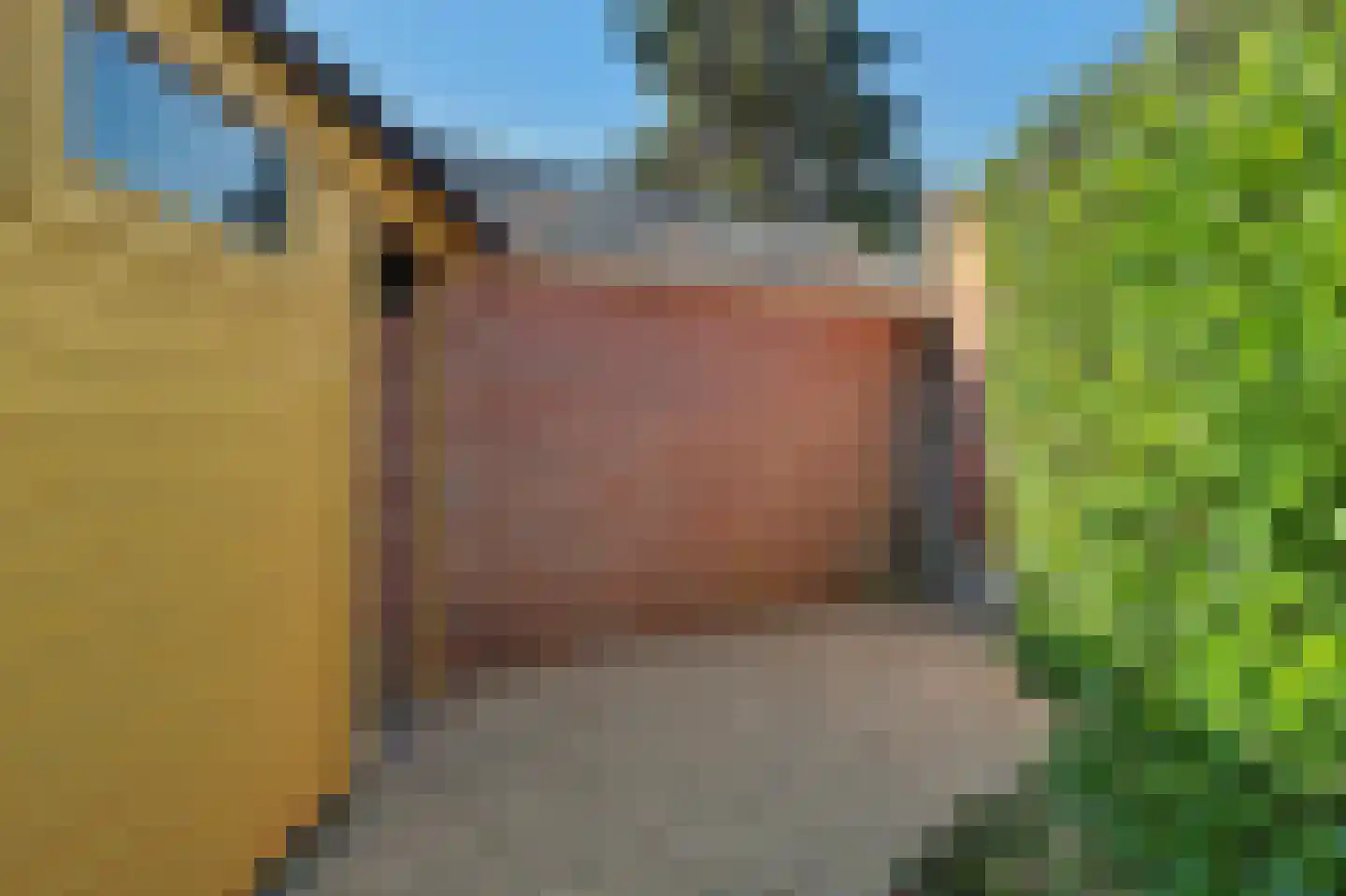 Havelaarstraat 64 Colijnsplaat thumbnail 24