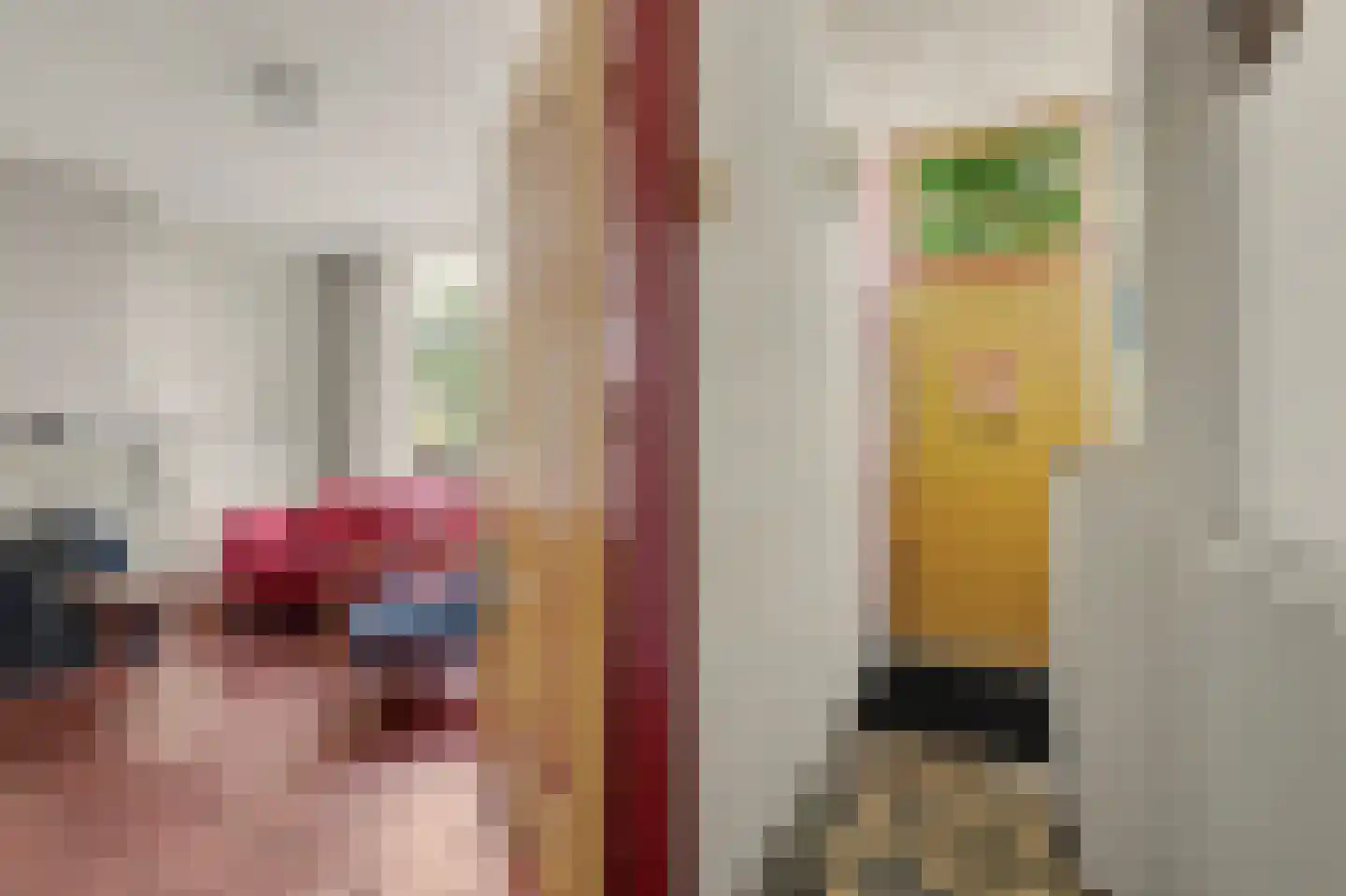 Havelaarstraat 64 Colijnsplaat thumbnail 7